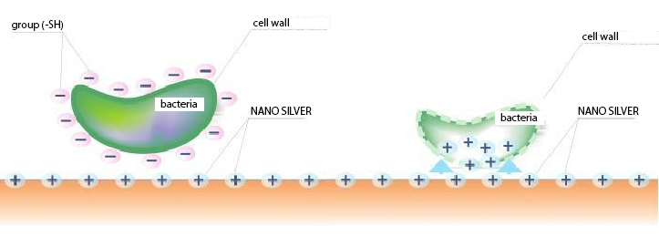 fig4_1.jpg